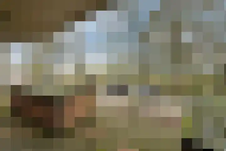 Bomenrijk 29 Diemen thumbnail 11