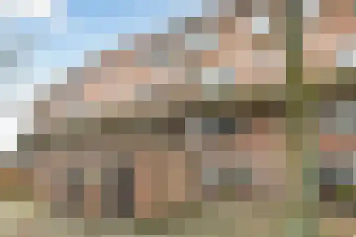 Bomenrijk 29 Diemen thumbnail 16