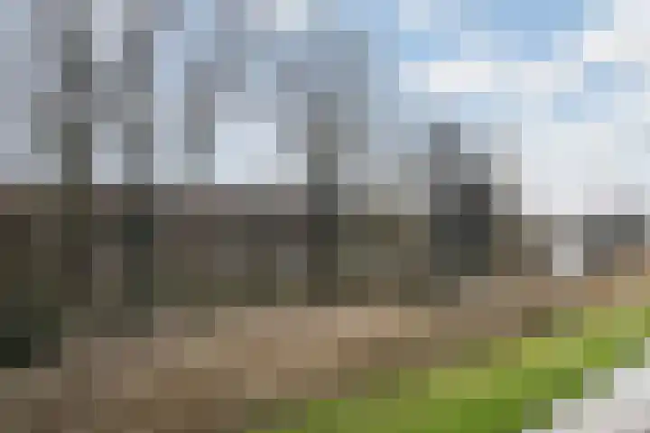 Bomenrijk 29 Diemen thumbnail 17