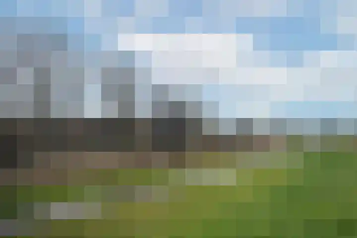 Bomenrijk 29 Diemen thumbnail 18