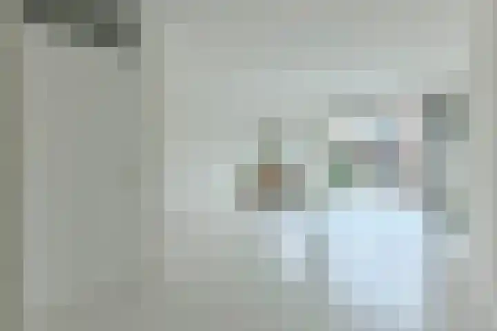 Bomenrijk 29 Diemen thumbnail 4