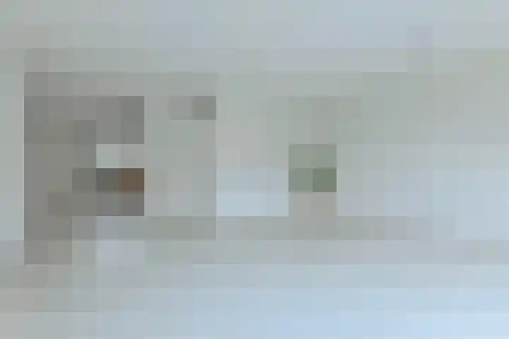 Bomenrijk 29 Diemen thumbnail 7