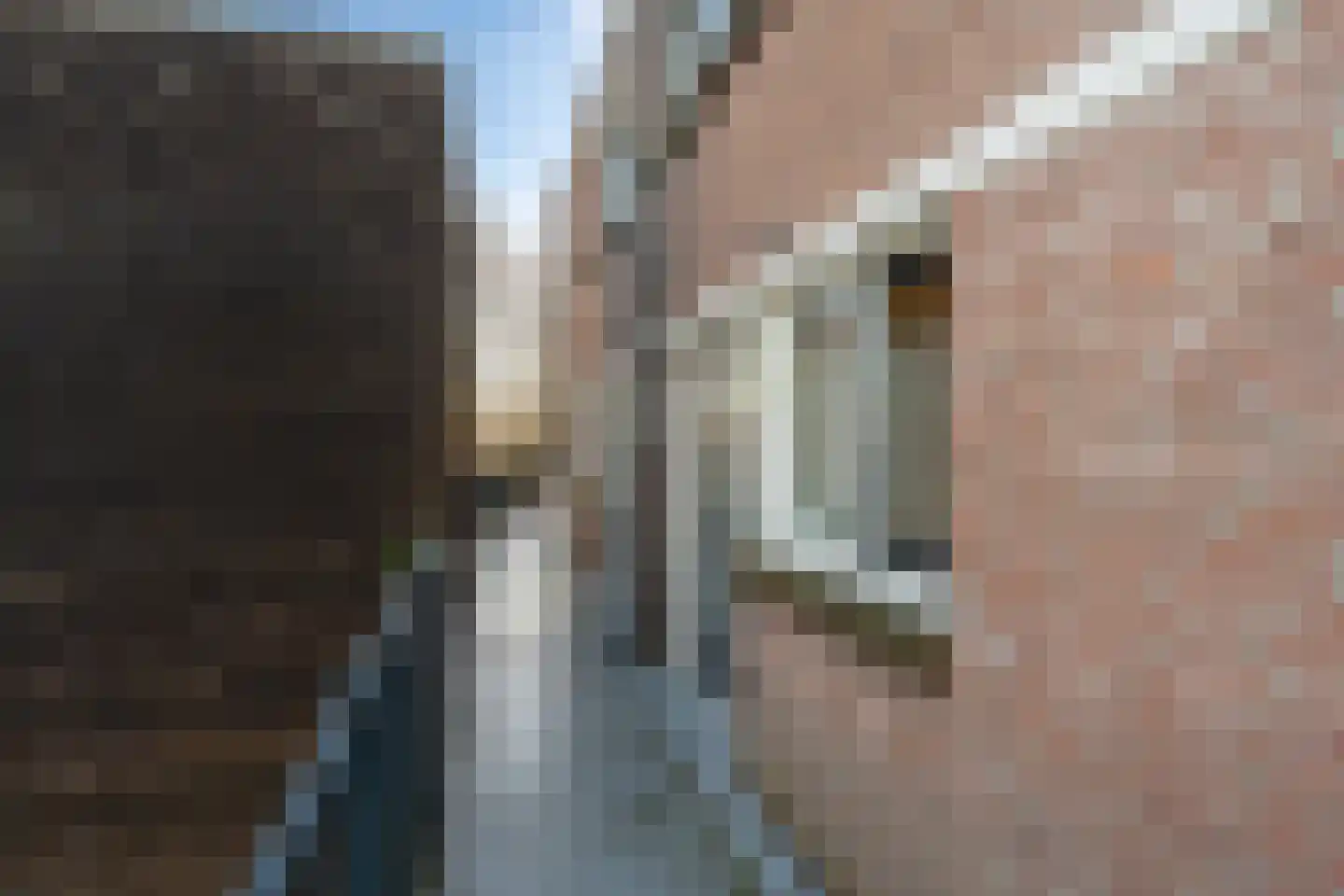 Bomenrijk 95 Diemen thumbnail 6
