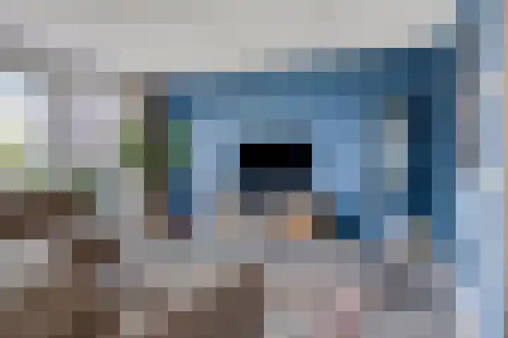 Bomhof 70 a Hengevelde thumbnail 10