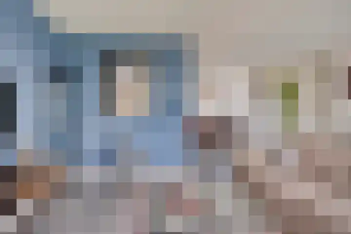 Bomhof 70 a Hengevelde thumbnail 11
