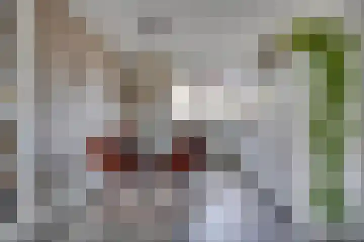 Bomhof 70 a Hengevelde thumbnail 13