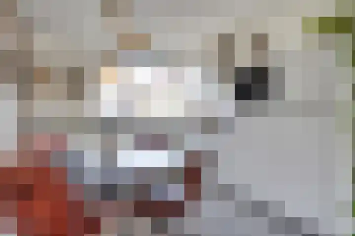 Bomhof 70 a Hengevelde thumbnail 14