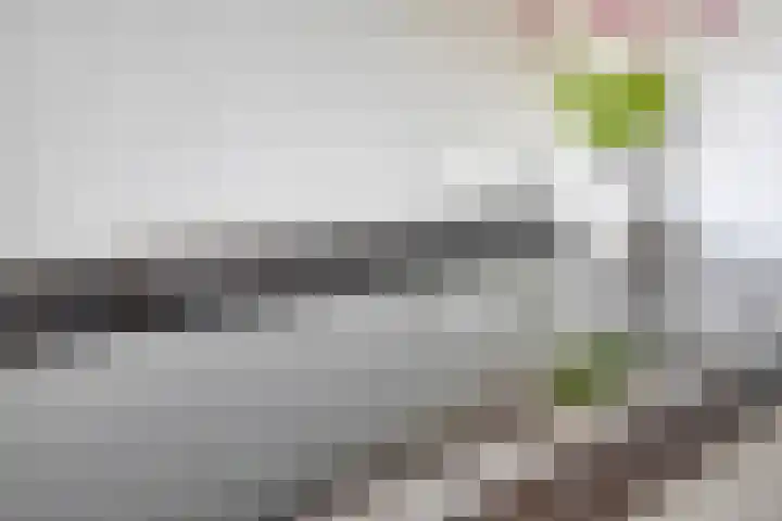 Bomhof 70 a Hengevelde thumbnail 18
