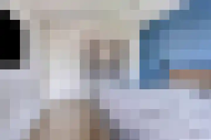 Bomhof 70 a Hengevelde thumbnail 23
