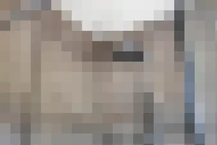Bomhof 70 a Hengevelde thumbnail 26