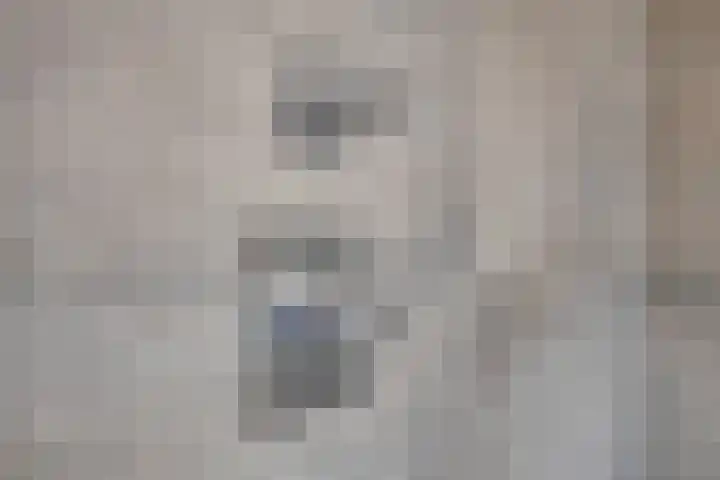 Bomhof 70 a Hengevelde thumbnail 27