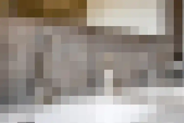 Bomhof 70 a Hengevelde thumbnail 28