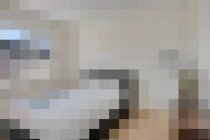 Bomhof 70 a Hengevelde thumbnail 29