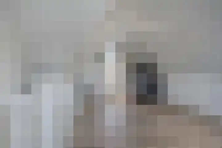 Bomhof 70 a Hengevelde thumbnail 31