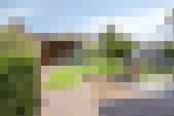 Bomhof 70 a Hengevelde thumbnail 33