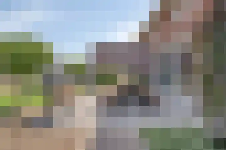 Bomhof 70 a Hengevelde thumbnail 34