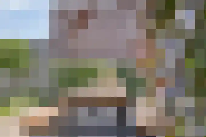 Bomhof 70 a Hengevelde thumbnail 35