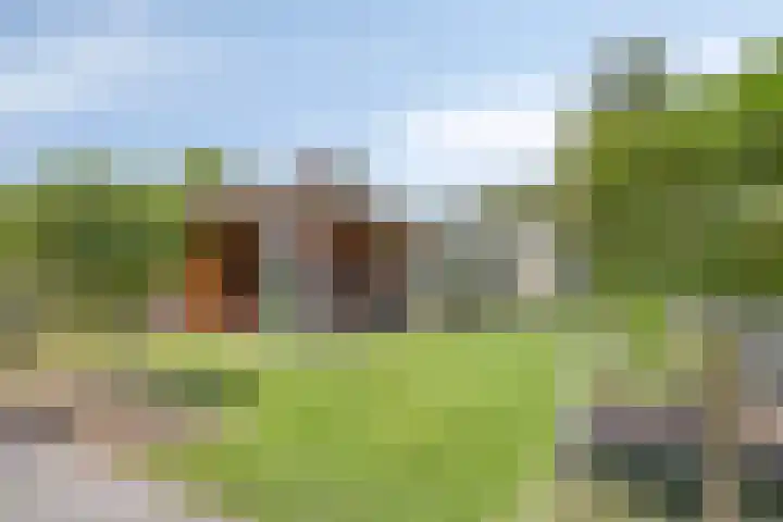 Bomhof 70 a Hengevelde thumbnail 36