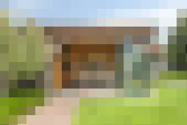 Bomhof 70 a Hengevelde thumbnail 37