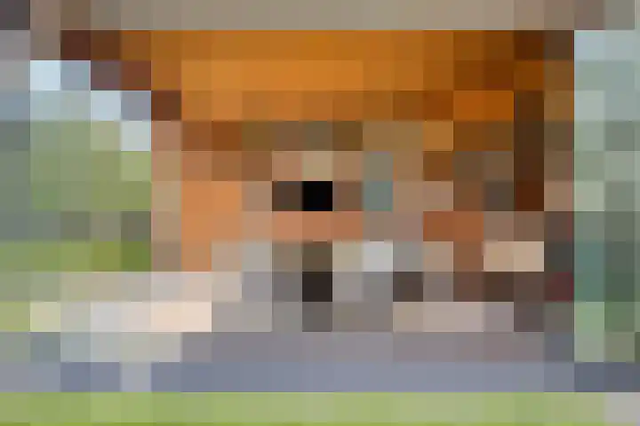 Bomhof 70 a Hengevelde thumbnail 38