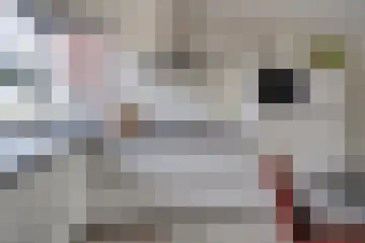 Bomhof 70 a Hengevelde thumbnail 4