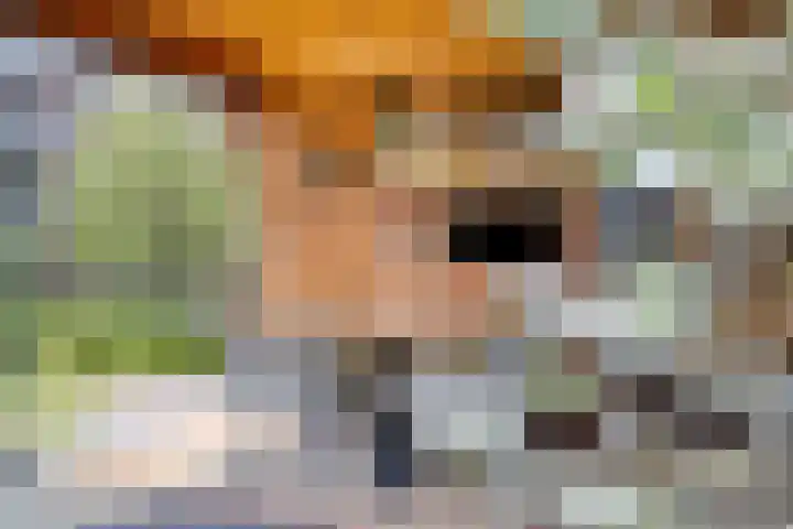 Bomhof 70 a Hengevelde thumbnail 40
