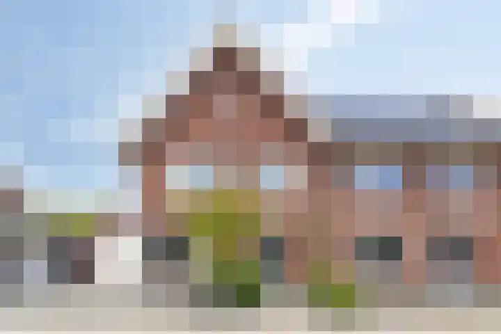 Bomhof 70 a Hengevelde thumbnail 41