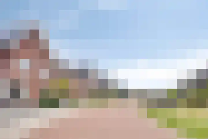Bomhof 70 a Hengevelde thumbnail 43