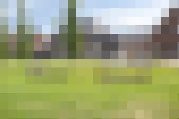 Bomhof 70 a Hengevelde thumbnail 45