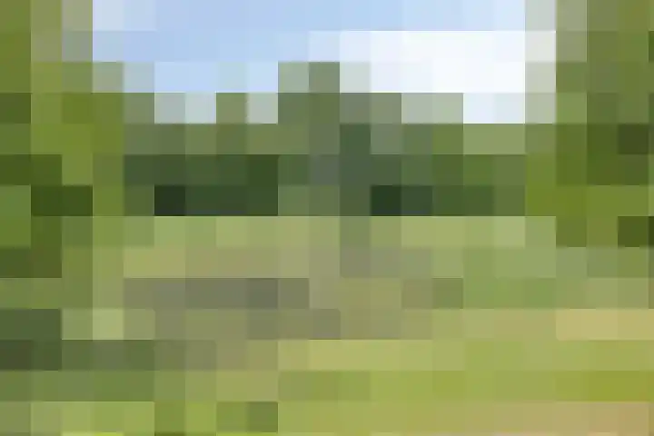 Bomhof 70 a Hengevelde thumbnail 46