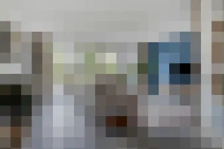 Bomhof 70 a Hengevelde thumbnail 9