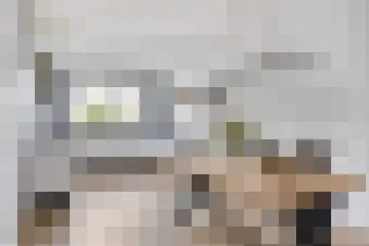 Bomhof 76 Hengevelde thumbnail 10