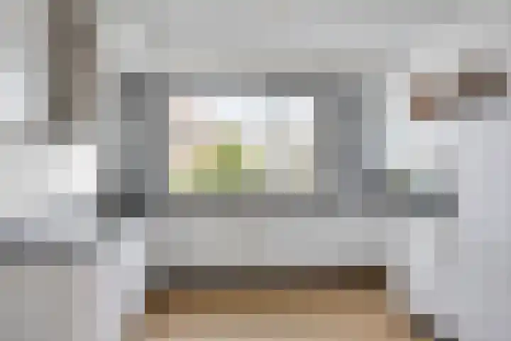 Bomhof 76 Hengevelde thumbnail 11