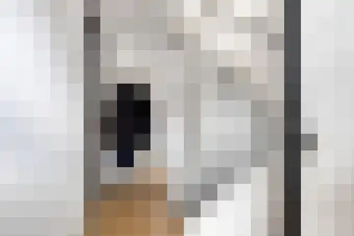 Bomhof 76 Hengevelde thumbnail 13