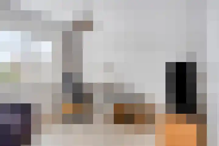 Bomhof 76 Hengevelde thumbnail 18