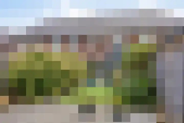 Bomhof 76 Hengevelde thumbnail 23