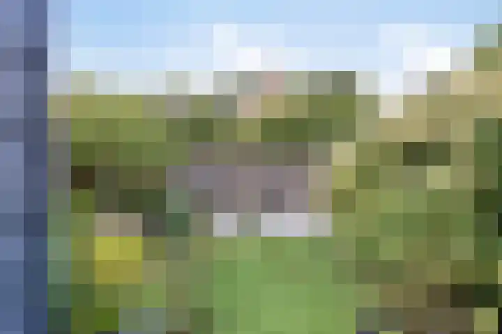 Bomhof 76 Hengevelde thumbnail 25
