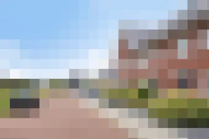 Bomhof 76 Hengevelde thumbnail 26