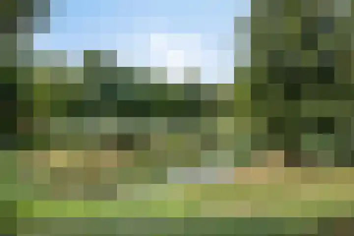 Bomhof 76 Hengevelde thumbnail 27