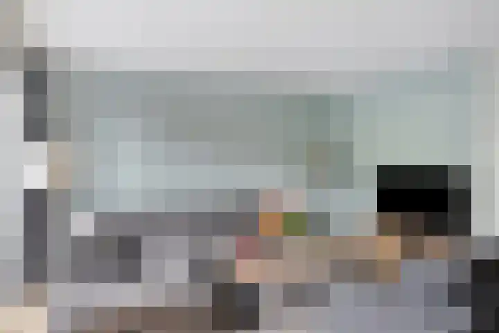 Bomhof 76 Hengevelde thumbnail 8