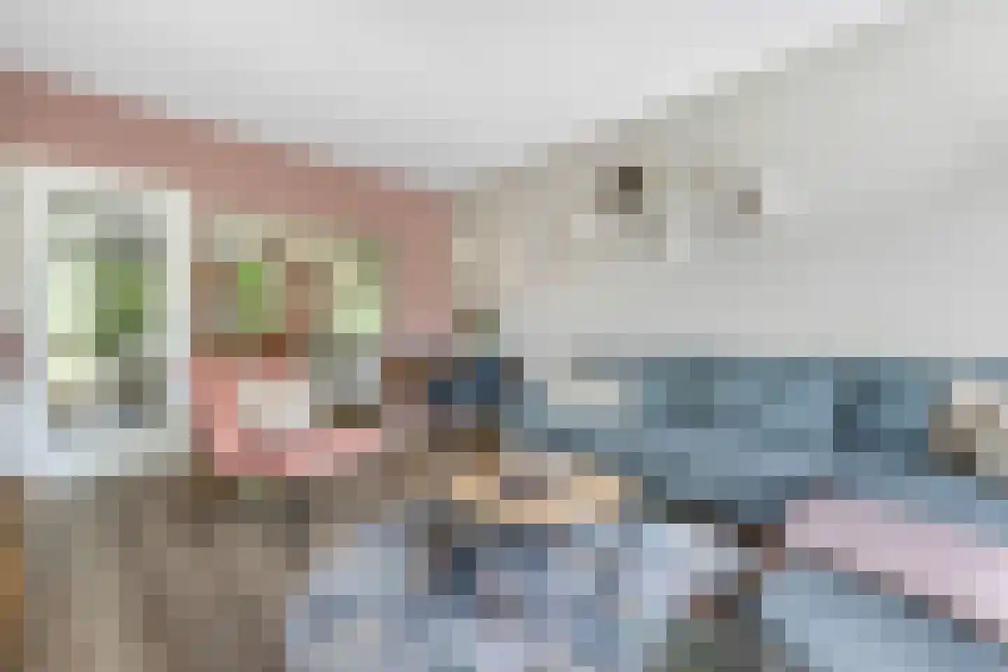 Bommegaerde 110 Beetsterzwaag thumbnail 13
