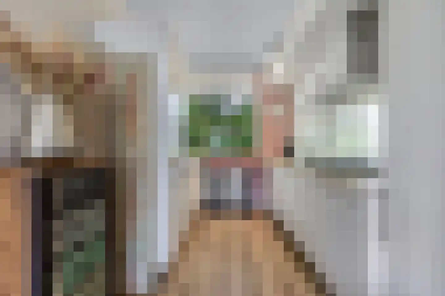 Bommegaerde 110 Beetsterzwaag thumbnail 15