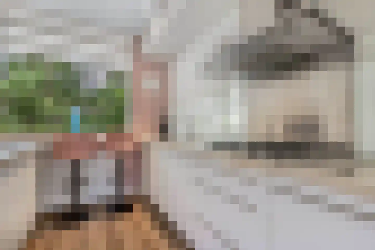 Bommegaerde 110 Beetsterzwaag thumbnail 16