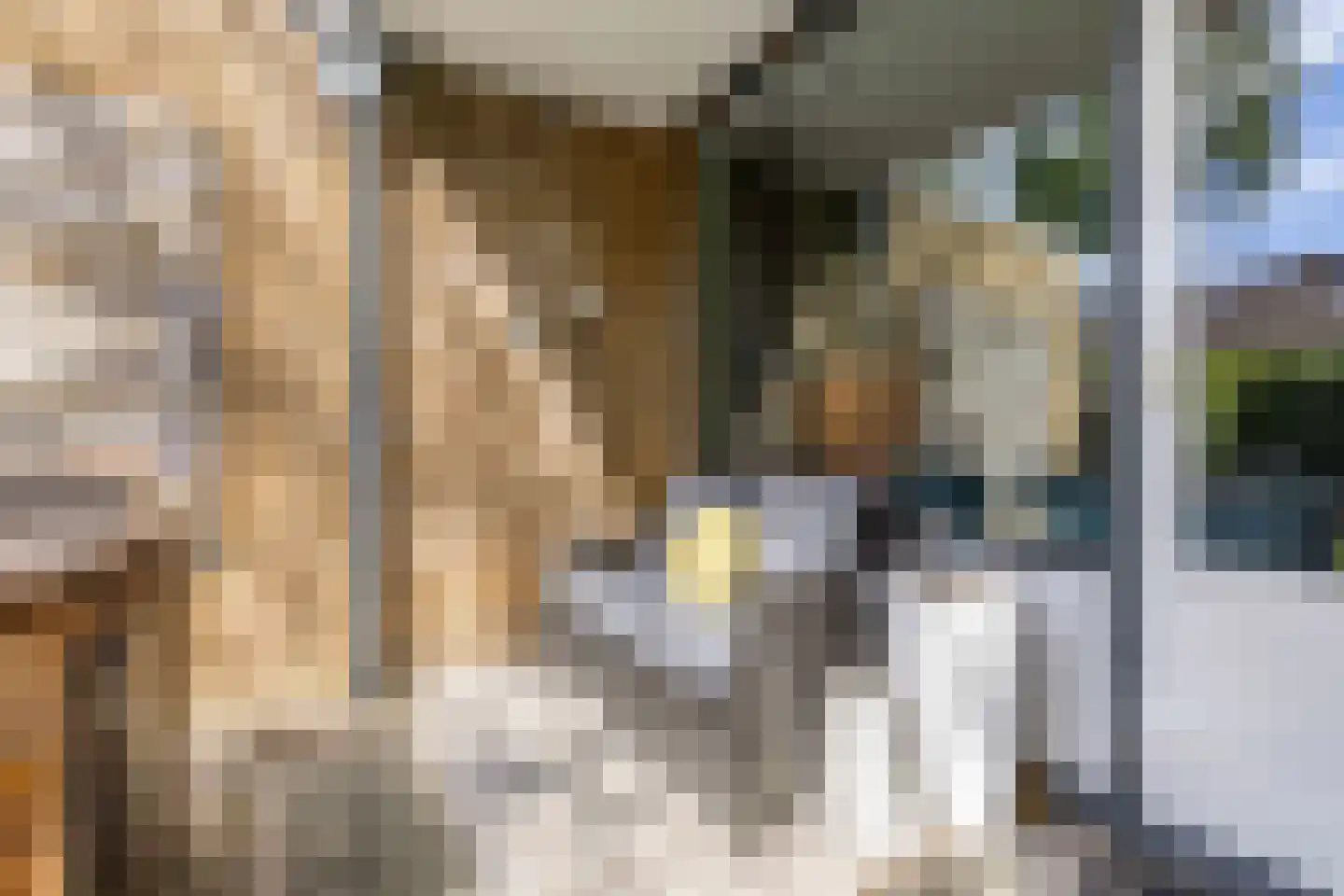 Bommegaerde 110 Beetsterzwaag thumbnail 28