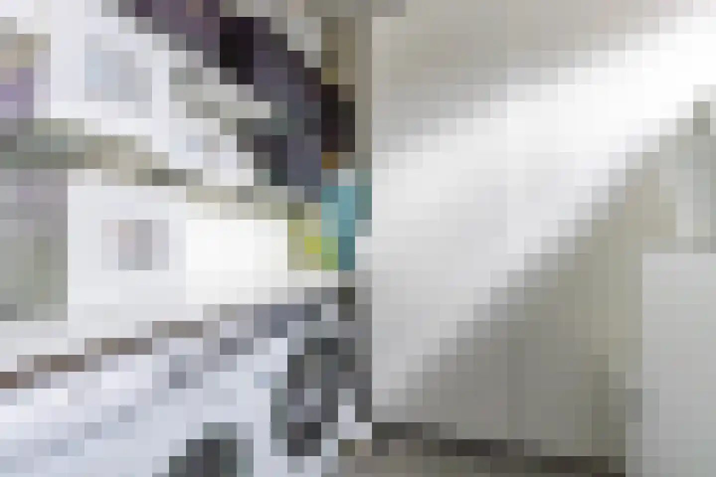 Bommegaerde 114 Beetsterzwaag thumbnail 11