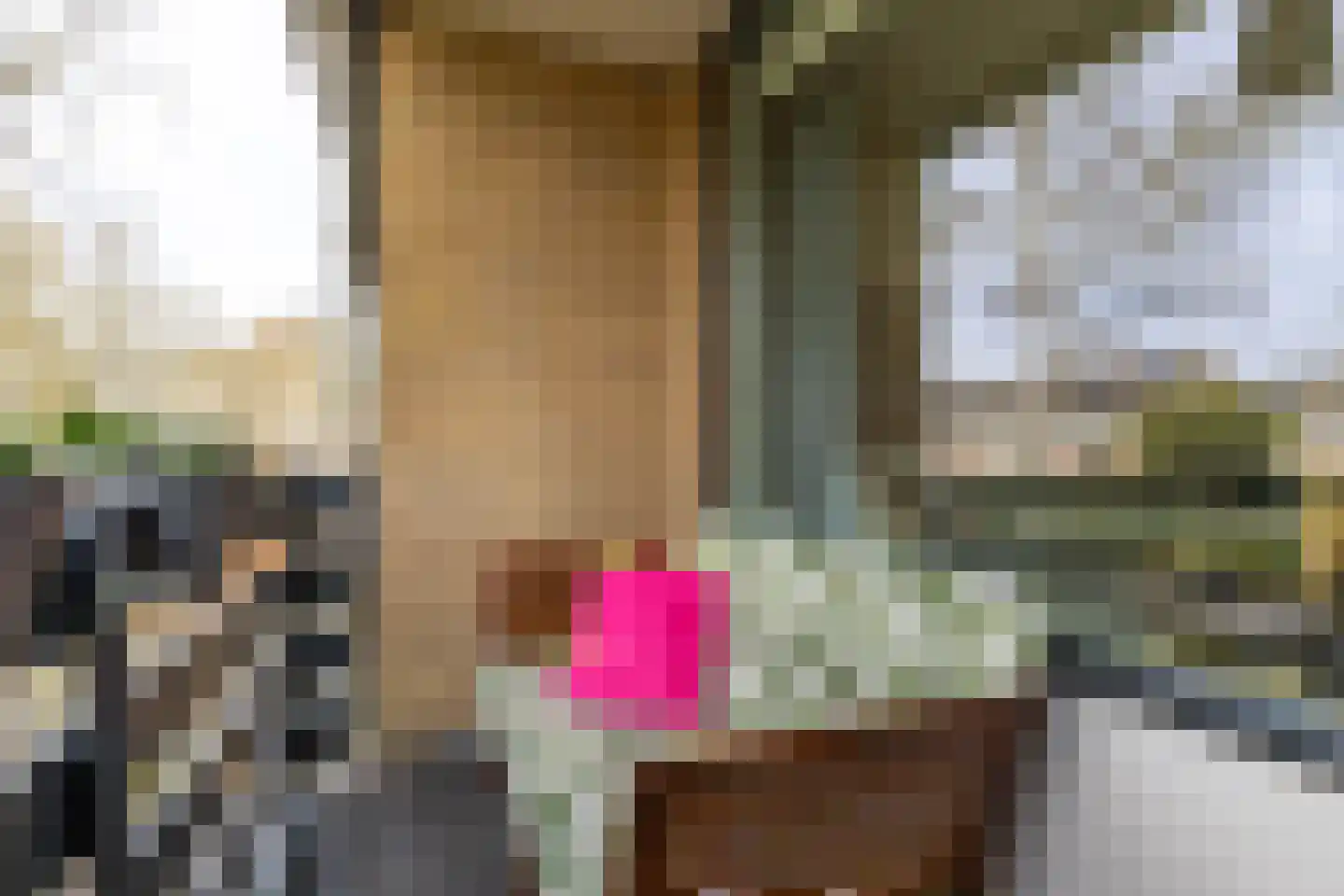 Bommegaerde 114 Beetsterzwaag thumbnail 26