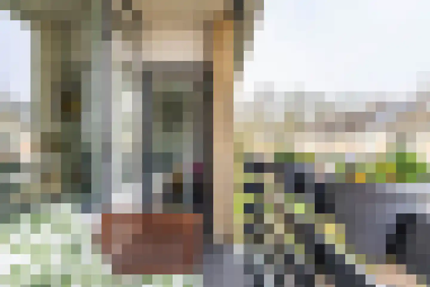 Bommegaerde 114 Beetsterzwaag thumbnail 27