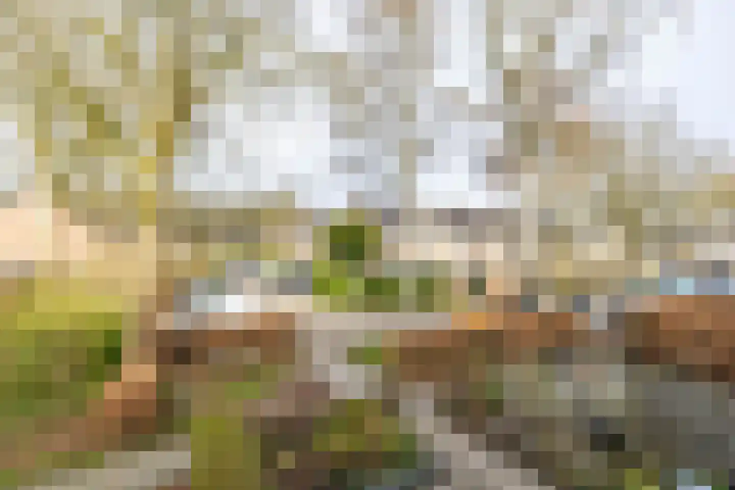 Bommegaerde 114 Beetsterzwaag thumbnail 28