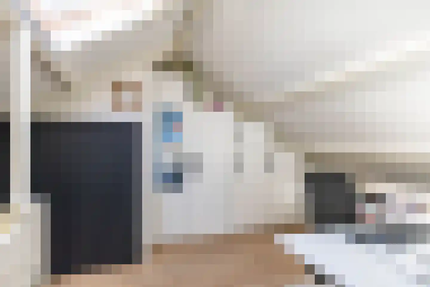 Bommegaerde 114 Beetsterzwaag thumbnail 31