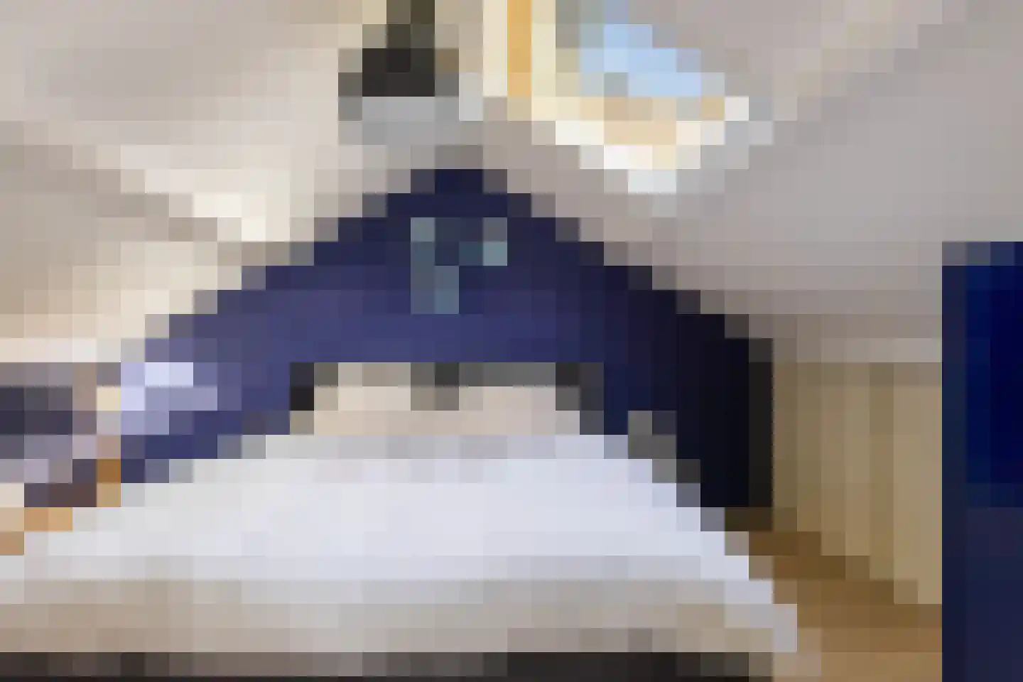 Bommegaerde 114 Beetsterzwaag thumbnail 32